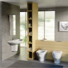 Биде IDEAL STANDARD Washpoint W811701